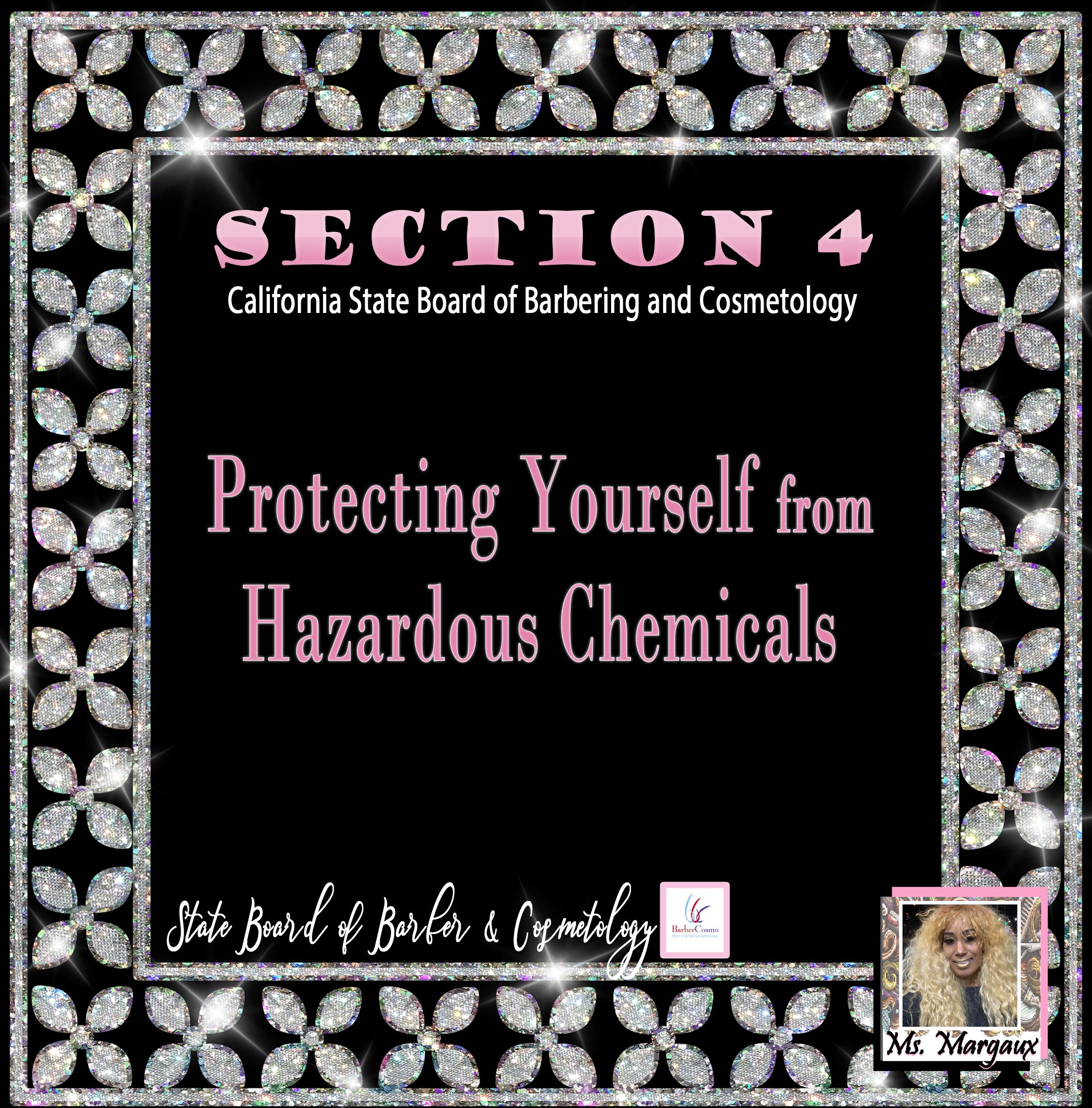 H and S Section 4